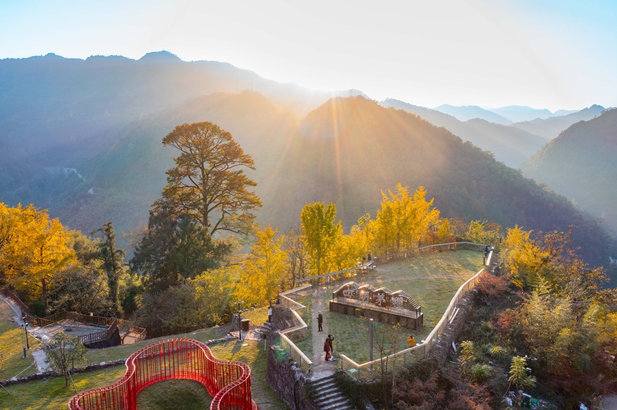 Maohuo Ancient Tree Park in #Ningbo's Zhangshui town has recently burst into color. Vibrant leaves weave through ancient trees, some over six centuries old, creating a breathtaking scene. Visitors stroll beneath the canopy, pause for photos, and feel the quiet majesty of a forest