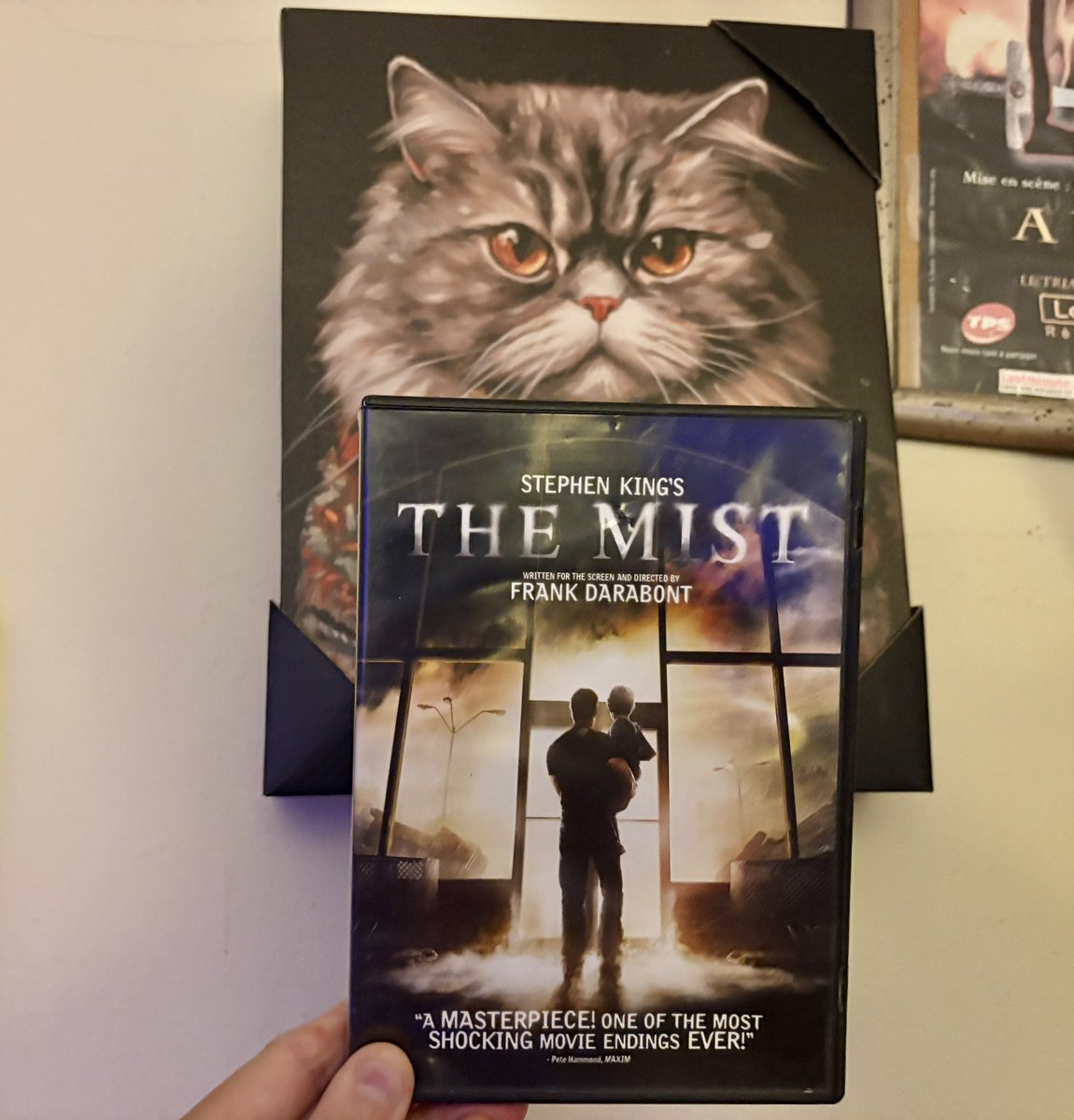 Frank Darabont's The Mist - a compact \u0026 atmospheric creature feature based  on Stephen King's novella. A strong Thomas Jane anchors a cast of great  character actors. With many themes \u0026 motifs, image size:1150x1200