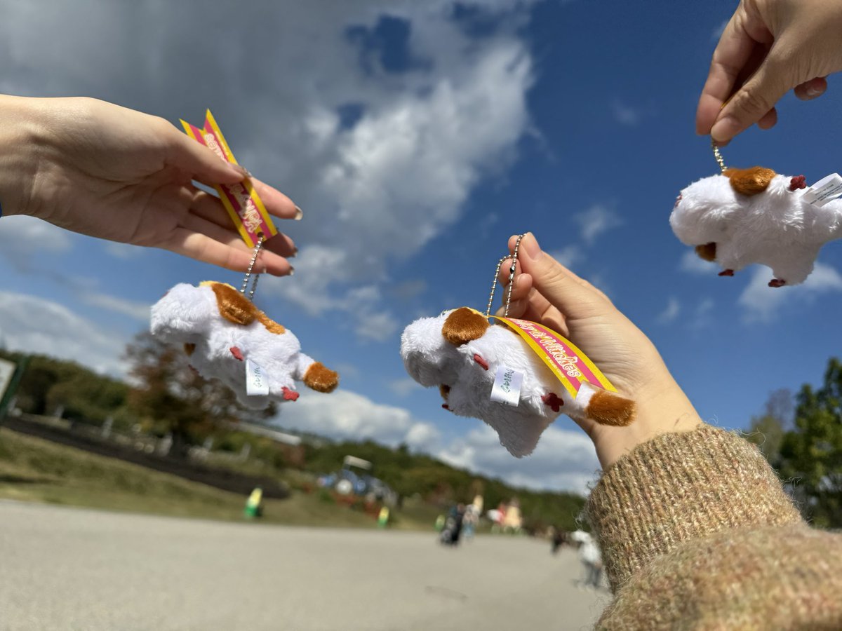 _m3_hime's tweet image. 明け方も夜中も呼ばれた地獄の日々がおわたおつかれ🍛