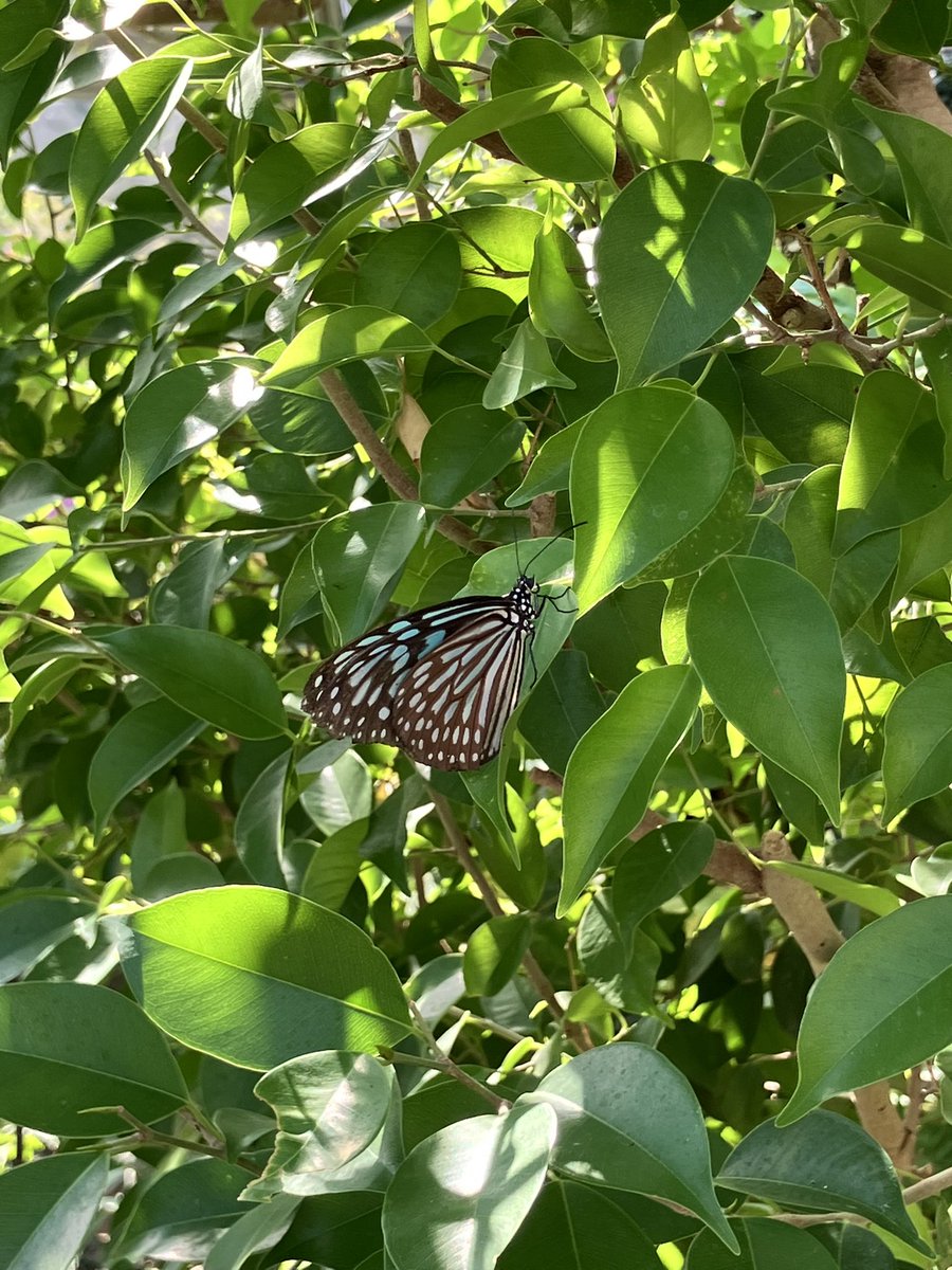 ここが…楽園…(*´꒳`*)