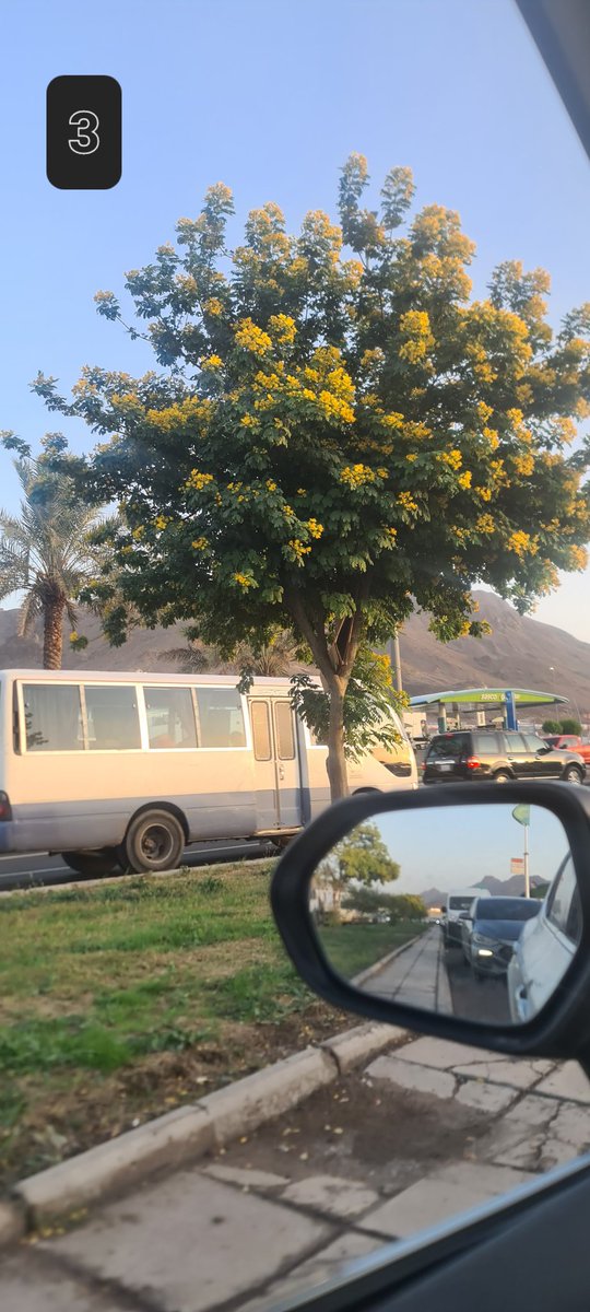 الحربي tweet media