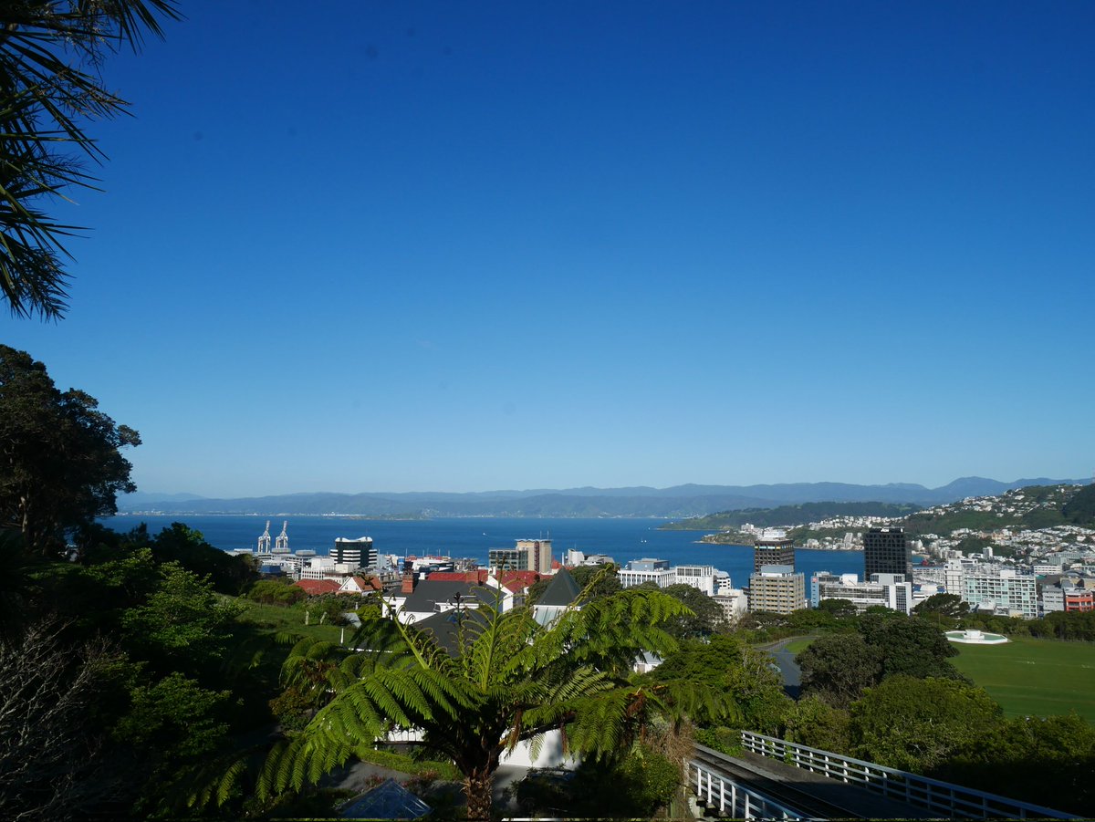 アメリー tweet media