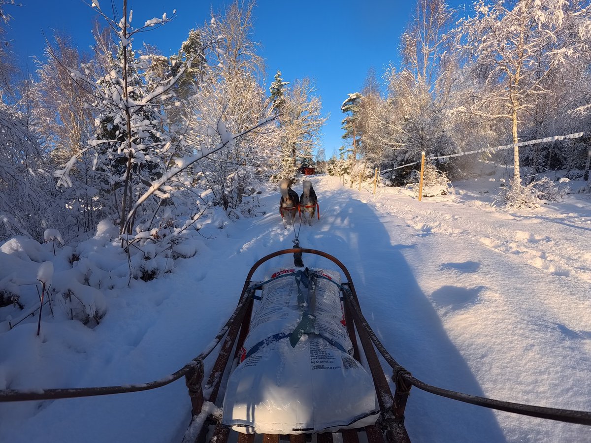 Det er livet.. så er alt andet så inderligt ligegyldigt...