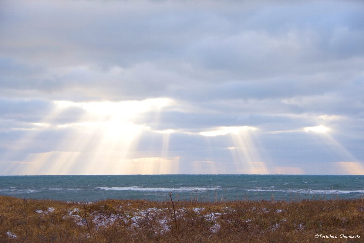polaris_guides's tweet image. 【ワシが舞う海岸線✨】

今週は雪がチラつく中、海岸線でワシの調査をしていました🍀

連日、強風が吹き荒れる天候で、なかなか寒くて大変な調査でしたが💦この厳しい場所で逞しく生きているワシたちの姿を見ることができました☺

#北海道 #豊富町 #利尻礼文サロベツ国立公園 #オジロワシ #利尻島