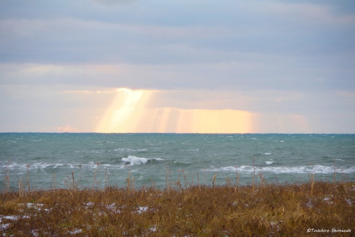 polaris_guides's tweet image. 【ワシが舞う海岸線✨】

今週は雪がチラつく中、海岸線でワシの調査をしていました🍀

連日、強風が吹き荒れる天候で、なかなか寒くて大変な調査でしたが💦この厳しい場所で逞しく生きているワシたちの姿を見ることができました☺

#北海道 #豊富町 #利尻礼文サロベツ国立公園 #オジロワシ #利尻島