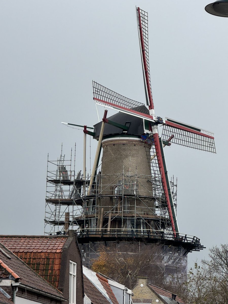 Na 14 maanden fikse restauratie wordt de jas van molen ‘de Hoop’ in Zierikzee weer uitgetrokken…