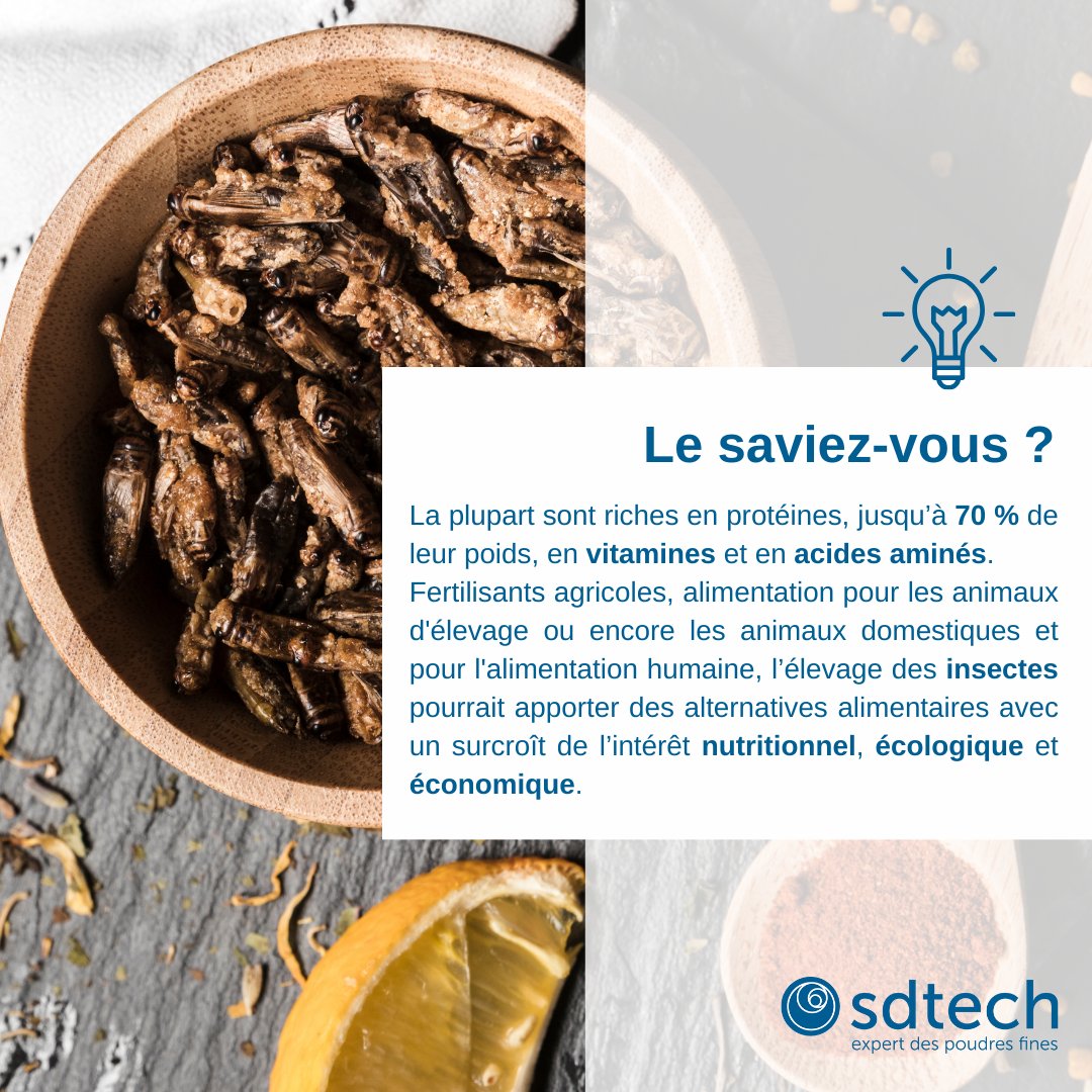SDTech_Groupe's tweet photo. [Le saviez-vous ?] 
La transformation des #insectes en #poudre optimise l'exploitation de leurs propriétés nutritionnelles pour l'incorporation dans les formulations #alimentaires. @SDTech_Groupe vous accompagne dans le #façonnage de ces sources protéiques alternatives. https://t.co/c13iAXwep7