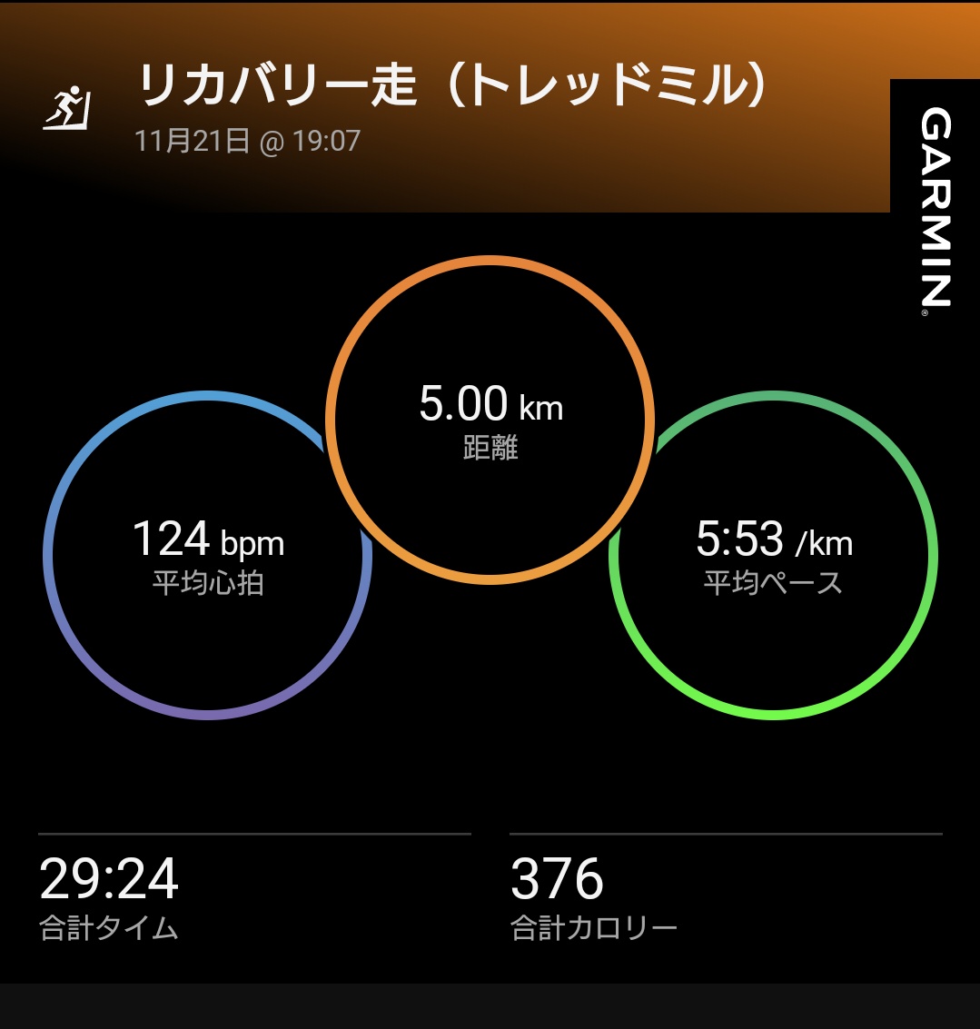 夜ラン。1周200mのランニングデッキを周回。2kmアップして閾値走。結果的に1周55秒（4:35/km）で5km。
フルマラソン3時間15分のVDOTの閾値走は4:21/kmだと1周52秒なので更にスピードアップが必要🙄
心拍数が久しぶりに上がったのでヨシ(๑•̀ㅂ•́)و✧
閾値走後リカバリーで5km。
#駅メモマラソン部