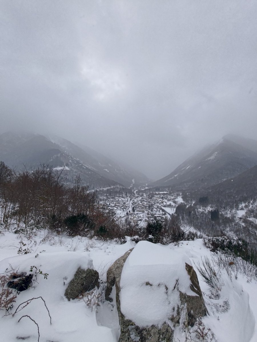 epoissonq tweet media