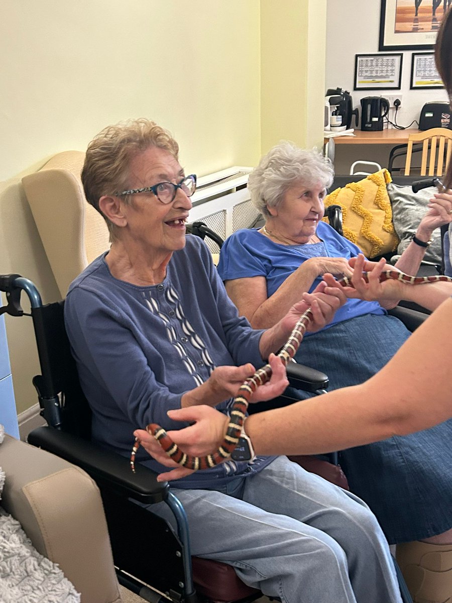 palmsrow's tweet photo. We love having visitors of all shapes and sizes - these cuties brought us real joy this week 🐹🐢🐍🦎❤ https://t.co/6bpe5OqK3H