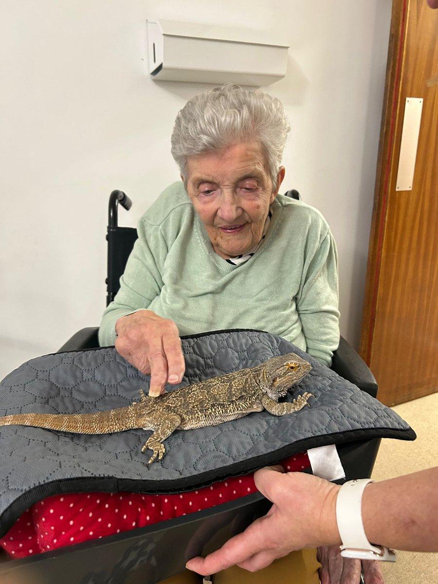 palmsrow's tweet photo. We love having visitors of all shapes and sizes - these cuties brought us real joy this week 🐹🐢🐍🦎❤ https://t.co/6bpe5OqK3H
