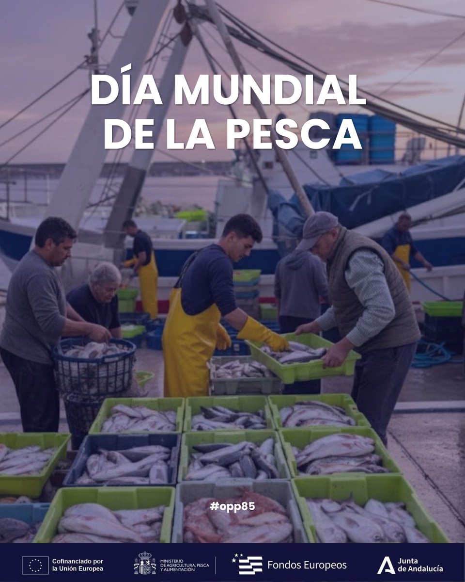 Hoy celebramos el #DíaMundialdelaPesca.

Un homenaje a todos los pescadores, que con su esfuerzo y dedicación nos acercan cada día pescado fresco y de calidad desde el puerto de Motril.

lonjamotril.com

Medida 7/7.3.a.5 Nuevas estrategias de comercialización