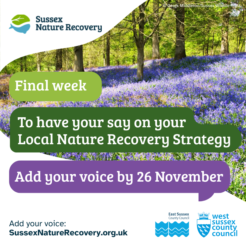 WSCCNews's tweet image. Last chance to get involved in new plans to help nature in Sussex. Tell us what you think of your Local Nature Recovery Strategy before 26 November.
orlo.uk/AtyH5
#SussexNatureRecovery #SussexLNRS #HaveYourSay #HelpSussexNature #ShapeYourLNRS
#AddYourVoice #FinalWeek
