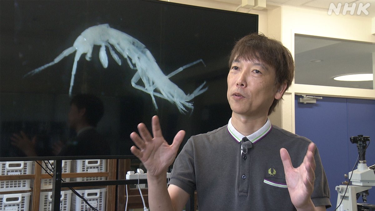 nhk_sciencezero's tweet image. 📺再放送は あす 午前11時〜[Eテレ]
#サイエンスZERO
◤密着！絶海に浮かぶ奇跡の島 南大東島◢

サトウキビ畑の下に広がる巨大な水中洞窟
そこで見つかった未知の生物たちや、
地球の未来を教えてくれる鍾乳石
島の奇跡に迫ります！

／
見逃し配信は
23(日) 夜11:59 まで
＼
web.nhk/tv/an/zero/pl/…