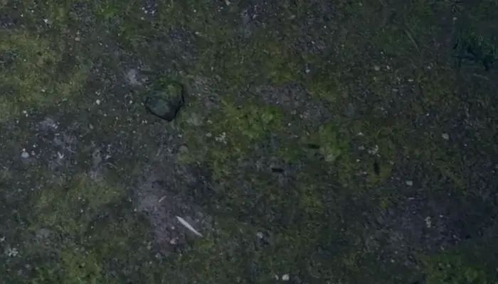 Can you recognize these screenshots? 
GuessThe.Game/p/1287 #GuessTheGame