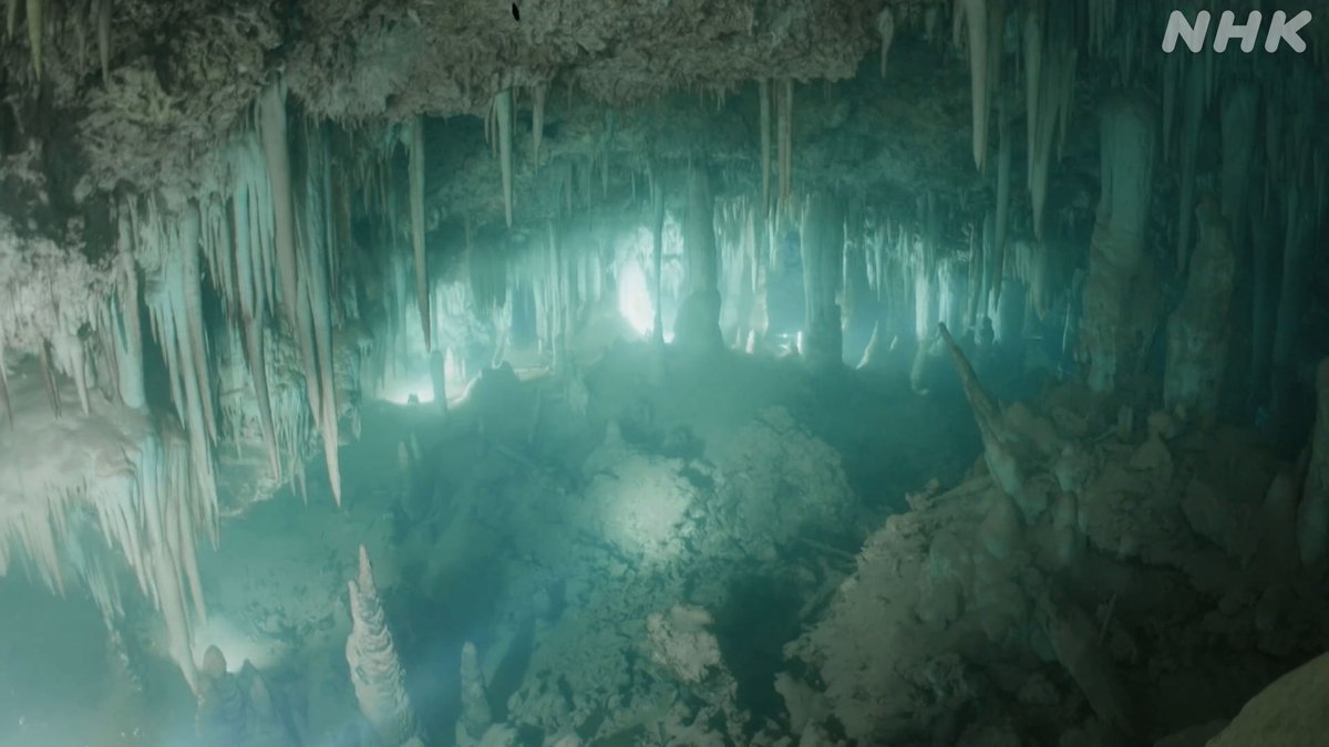 nhk_sciencezero's tweet image. 📺再放送は あす 午前11時〜[Eテレ]
#サイエンスZERO
◤密着！絶海に浮かぶ奇跡の島 南大東島◢

サトウキビ畑の下に広がる巨大な水中洞窟
そこで見つかった未知の生物たちや、
地球の未来を教えてくれる鍾乳石
島の奇跡に迫ります！

／
見逃し配信は
23(日) 夜11:59 まで
＼
web.nhk/tv/an/zero/pl/…