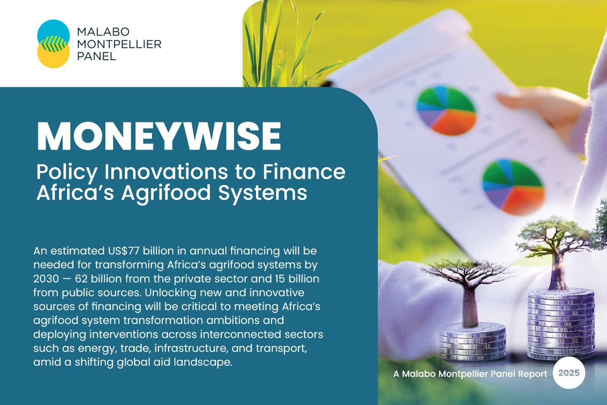 LButake's tweet image. End the week with this piece by @ndidiNwuneli via @foodtank, which explores opportunities to finance Africa's agrifood systems, with highlights from @MaMoPanel's #MONEYWISE report. 

Read more👉 tinyurl.com/2s467fnk
MONEYWISE👉 tinyurl.com/mwvbdrpe