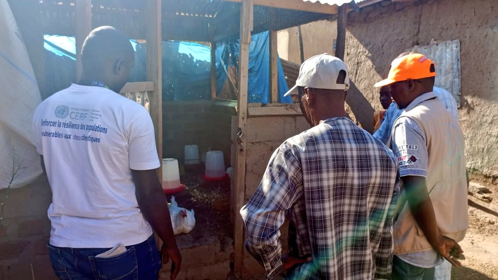 A Logone-Birni 🇨🇲, <a href="/FAOCameroun/">FAO Cameroun</a>, conduit une mission de suivi auprès des bénéficiaires du projet d’adaptation climatique financé par <a href="/UNCERF/">CERF - The UN's emergency fund</a>
🎯Objectif : Diversifier les activités, pérenniser les acquis et créer des opportunités pour des communautés + résilientes
<a href="/minepiacameroun/">MINEPIA CAMEROUN</a>