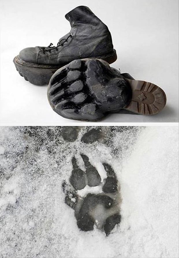 JohnDonoghue64's tweet image. Now it’s snowing where I live, I’ll be getting these bad boys out tonight to start some rumours in the village…