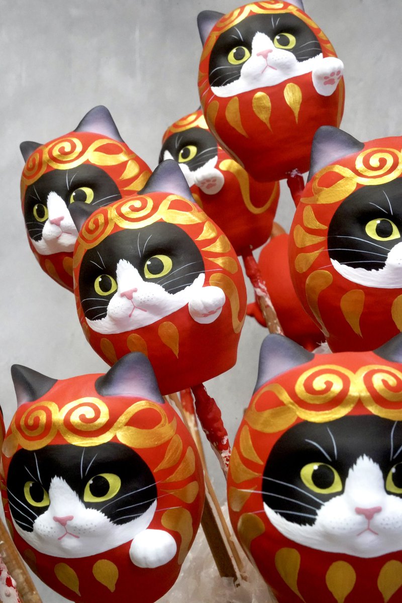 だるま屋 るもん (@darumaya_rumon) / Posts / X