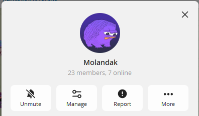 Leonardo tweet media