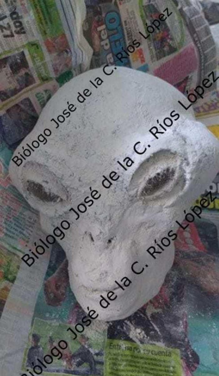 I was one of those who initially investigated the three-fingered mummies of Nazca, Peru, and from the beginning, we invited scientists from around the world to participate in validating the authenticity of these bodies.
 Biologist José de la C. Ríos López