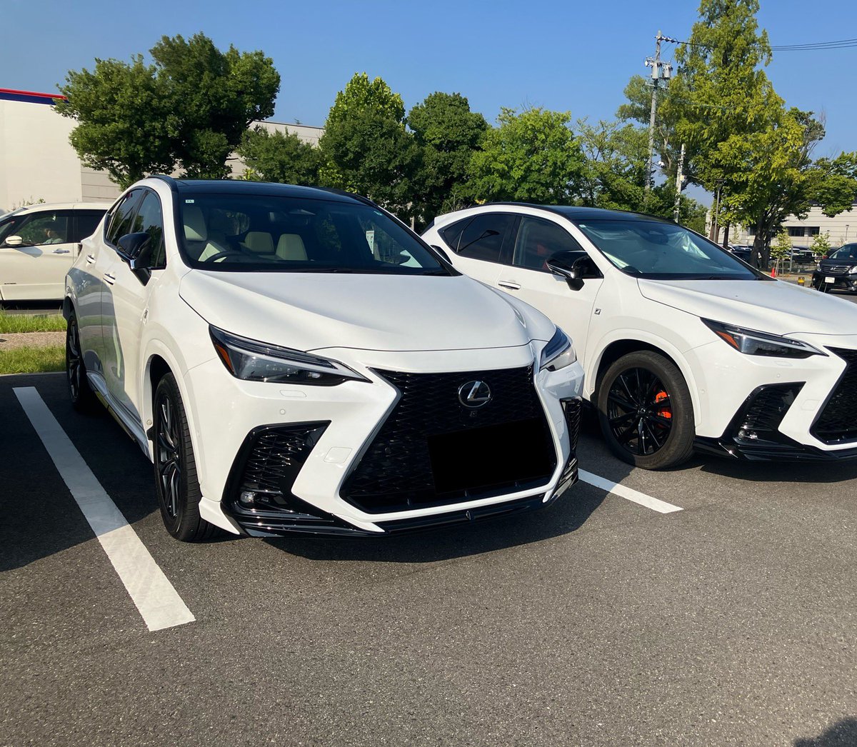 mecchahataraku's tweet image. 今日でNXちゃん、納車1年記念✨

いっぱい楽しく乗ってます。
あっという間の1年。
これからはNX仲間さん達とも、仲良くしていきたいです♥️

そんな日に、増車決定🚗
納車は3月予定です〜