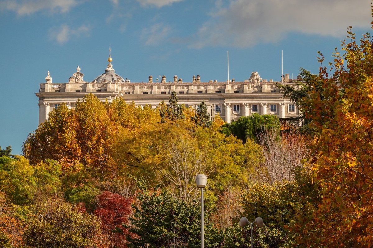 Lo que se puede ver de paseo por la ribera del Manzanares un día otoñal. Garza real y garceta común. Fotos de ayer