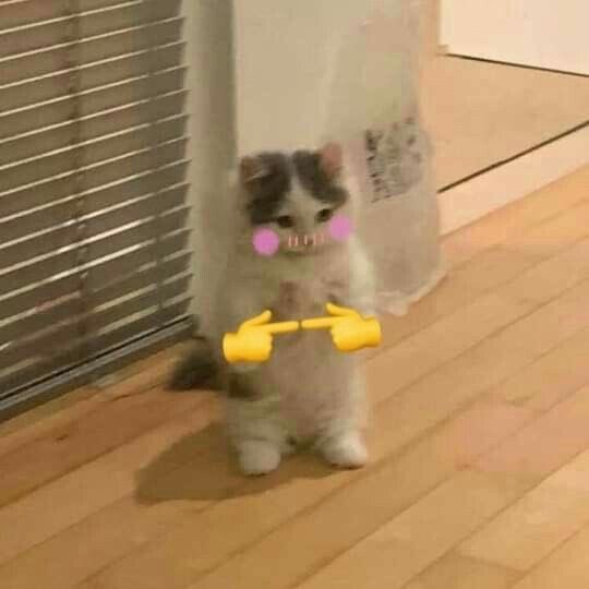 f-full request friday? pls? 🥺