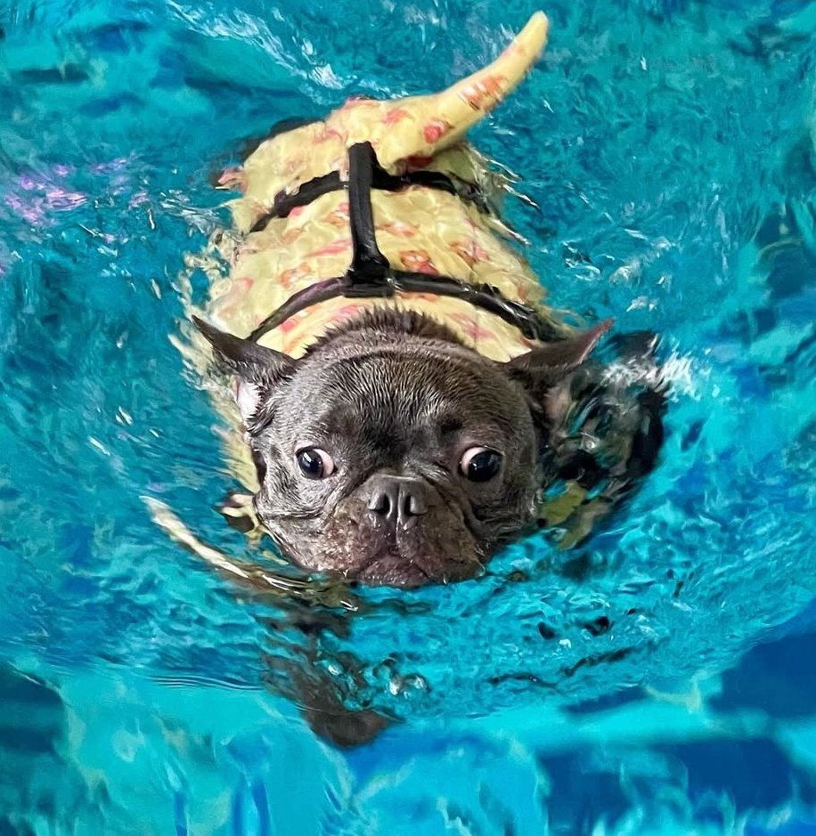 Ffangxws's tweet image. เพิ่งสิ่งนี้ เล่นน้ำป๋อมแป๋มเหมือนกันเยยหนิ

#ThatSummerSeriesFinalEP