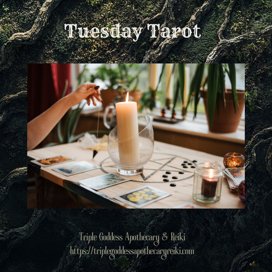 triplegoddessa1's tweet image. Join us for Tuesday Tarot every week for live one-card readings. Discover tarot's mysteries and gain insights into your life. TikTok: @triplegoddessapothecary1 or bio.site/rowanravenwolf
#tarot #tarotreadings #tarotcards #divination #psychic #rowanravenwolf