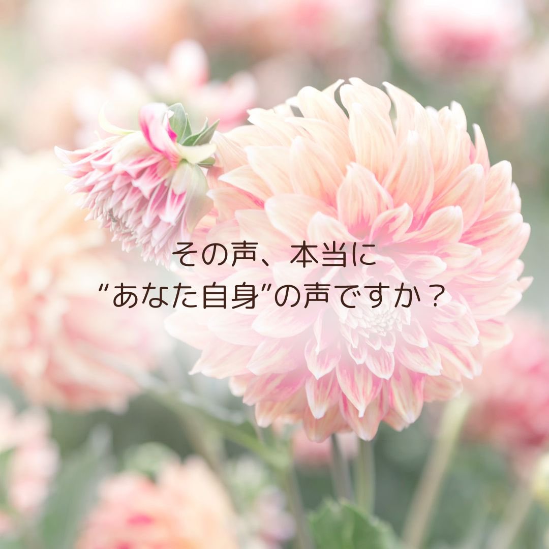 「いい人でいなきゃ」は、だれの声？

自分の声じゃないなら、手放していい。
 #ドリームキラー #価値観 #親子の影響