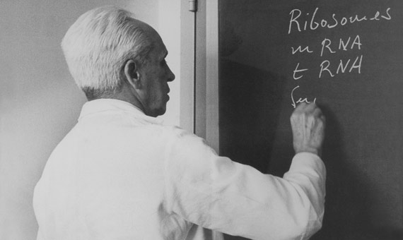 CBM_CSIC_UAM's tweet photo. 🧬🌍 Hoy 1 de agosto, Día Mundial del ARN, recordamos que sin ARN no hay vida, y que la ciencia que es básica hoy es la que cambia el mundo mañana.
En 1959, Severo Ochoa, uno de los fundadores del CBM, ganó el Premio Nobel por descubrir cómo se sintetiza el ARN
#worldARNday @CSIC https://t.co/ZwoSipaewE