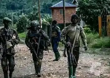 MbikayiCl48498's tweet photo. RAPIDE NEWS CD
+243 83 51 46 790
🇨🇩🇨🇩🚨🚨🚨🚨🚨🚨🚨
Des violents affrontements opposent à la coalition M23-RDF-AFC aux Wazalendo font rage à #kibanda et #Mahanga dans le territoire de #Masisi ce vendredi 21/Novembre/2025.
Les Wazalendo appuyés par les FARDC sont en forme. https://t.co/UjXhj9ZPG1