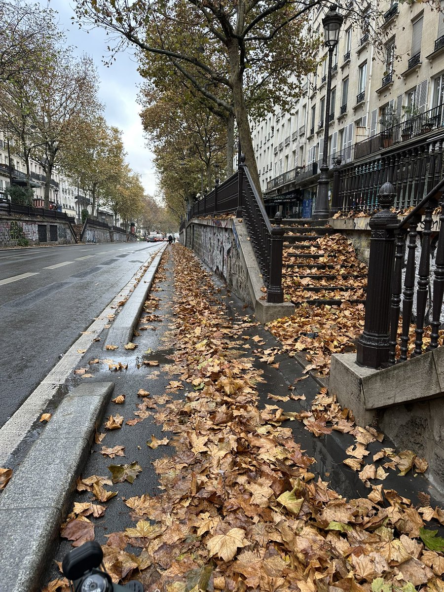 PARISCRADOS's tweet image. Ce matin vers 9h30 sur la PC des Grands Boulevards , entre République et Strasbourg St Denis 

Et ils osent ouvrir leur gueule avec leurs 6900 agents UNIQUEMENT à la propreté.

Des bras cassés !

#saccageparis