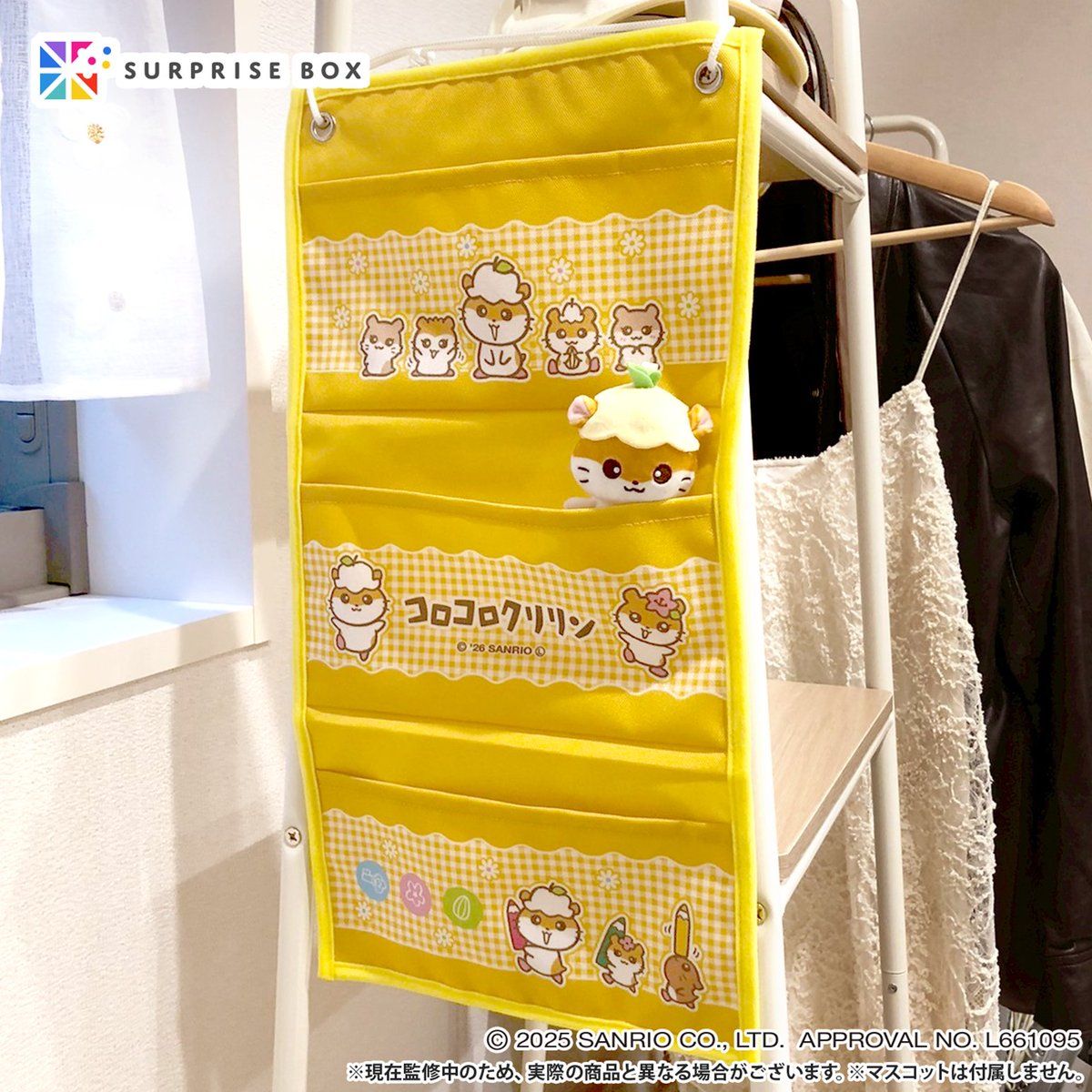 限定アイテムを定期便でお届けする サプライズボックス 🎁 コロコロ