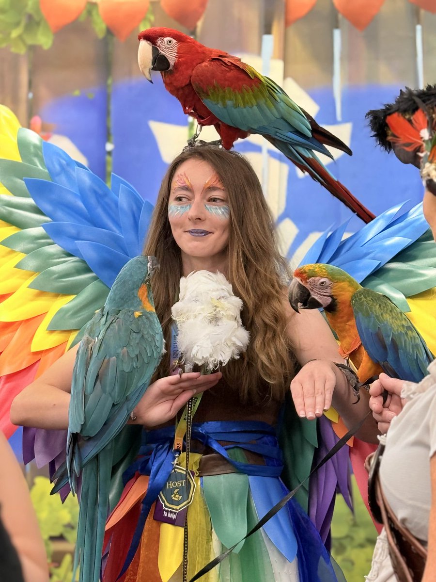 SoTFest's tweet image. Over the last 4 years a lot has changed at SoTFest! One of our personal favourites though is the addition of Parrots!

Did you get some photos with our new guests?

Here are a few of 
@TasherrToxic 
@StreamsTizzy 
@LootinLizalaroo 
&amp;amp; @JoeNeate1

#SoTFestV #SeaofThieves