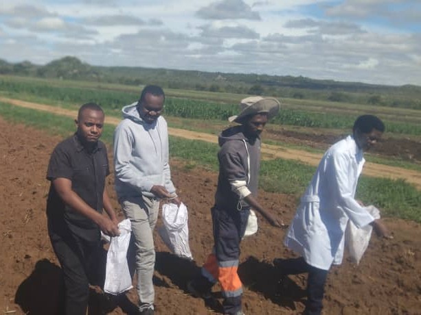 ICRISAT tweet media