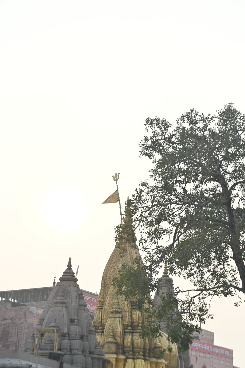 ShriVishwanath's tweet image. ।।श्री काशीविश्वनाथो विजयतेतराम।।  

#banaras #kashivishwanath #harharmahadevॐ