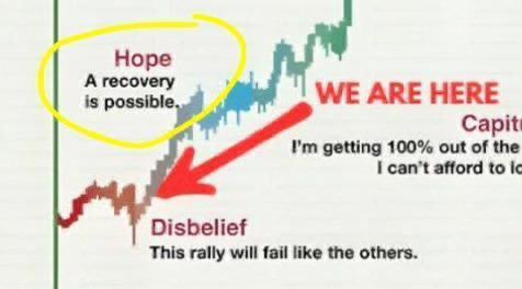 marvCalledIt's tweet image. Gm $Hope family ! 
Remember the main message 
Market is bleeding super hard today 
Our $Hope gets thicker each day 

Look at our numbers 🔥🔥🔥 
everyone should  be proud but we not done yet!! 

“Okay now let’s bleed the market then give them Hope on $sol ”…