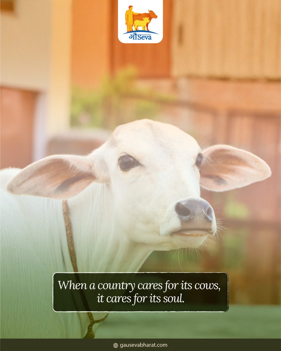 Gau Seva is nation-building through compassion.  
Support the movement at  zurl.co/rmldX 

#GauSeva #TogetherWeServe