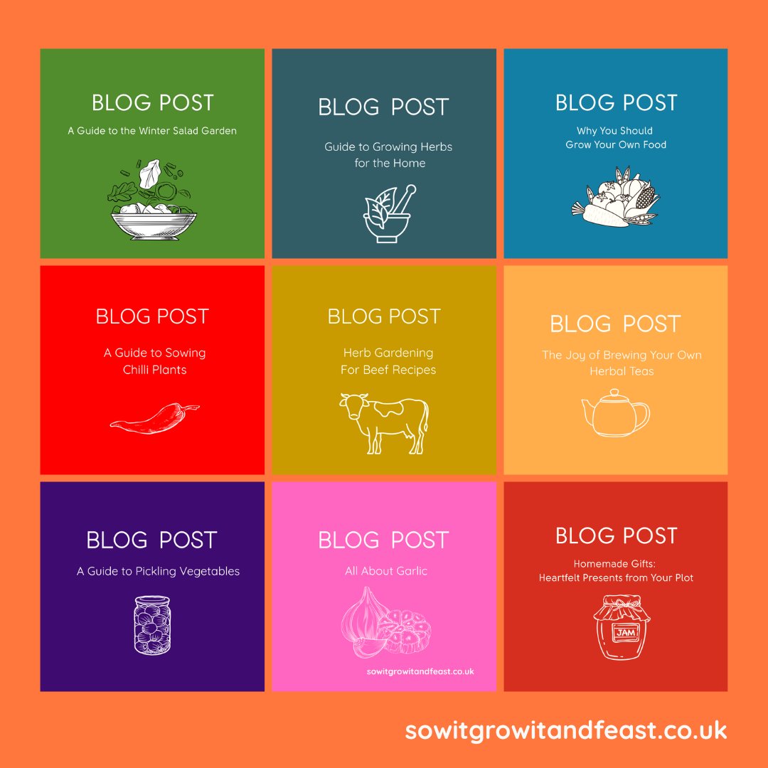 SowGrowFeast's tweet image. From winter salads to pickling tips, discover fresh ideas to grow, cook &amp;amp; create at sowitgrowitandfeast.co.uk.

#GrowYourOwn #KitchenGarden #HomeGrownFood #GardenToTable #SustainableLiving #HerbGarden #VegetableGarden #OrganicGardening #UKGardeners #sowitgrowitandfeast