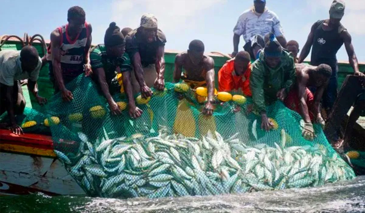 Sankofa: Equitable Fisheries Livelihoods in Africa tweet media