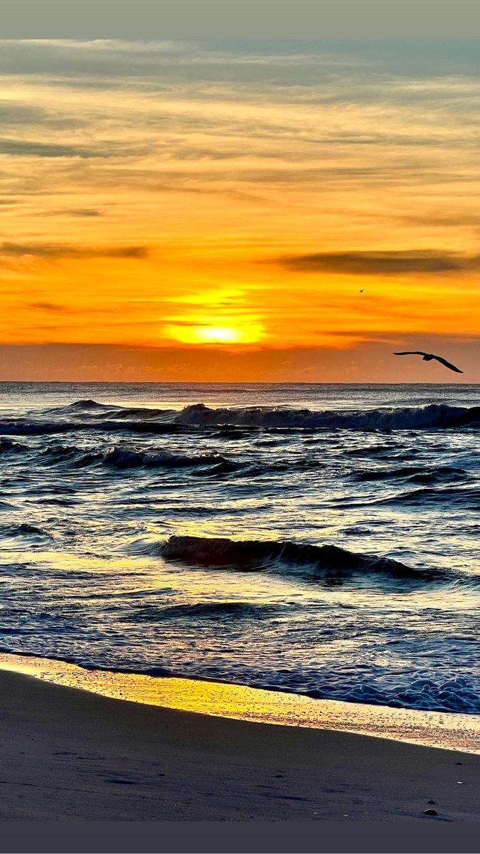 There’s something about a sunrise like this that feels like a quiet reset button — a reminder that you get a fresh start no matter what this week threw at you. I’m a big believer that Fridays should begin with gratitude and intention, because when you rise with the sun, you set