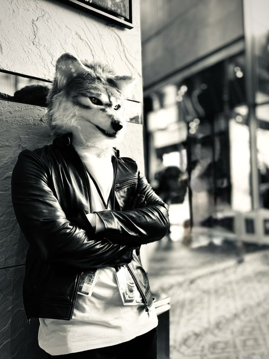 Good to see you.

🐺<a href="/JUN_Syunhalf/">Jun</a> 
#kemocon18
#FursuitFriday