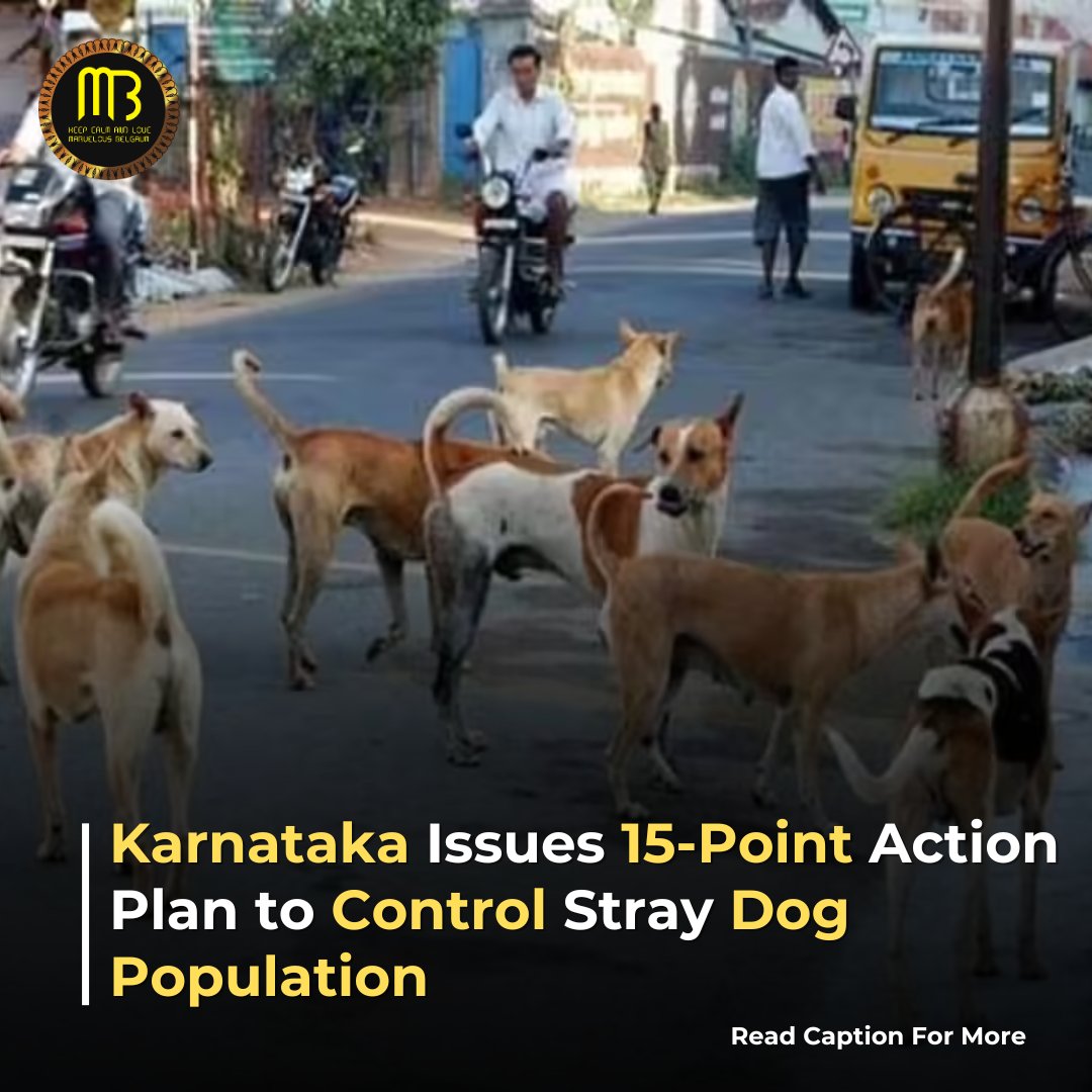 Marvelous Belgaum tweet media