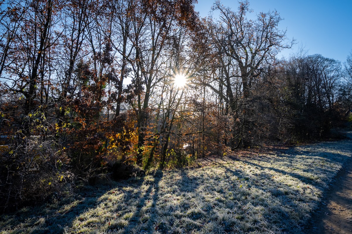 holmfirthphotos's tweet photo. Sunlight through the autumn trees and a hard frost underfoot! Wrap up warm! π₯Ά
#Honley #Holmfirth #Huddersfield #loveukweather #WeatherWatcher #Yorkshire #frost #woods @StormHour @HuddsHub #autumn #WINTER https://t.co/XgBJPbQR5E