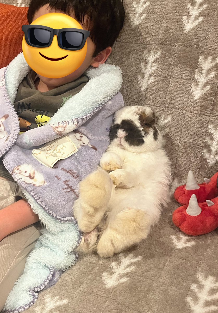 ともち  YouTube観てる