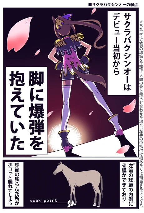 スターブロッサムの方で
バクちゃんのラストラン近づいてきたので

サクラバクシンオー再掲しときますね(1/2) 