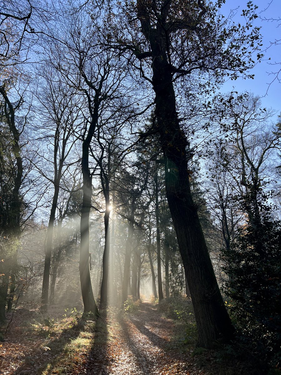 Emmetjes's tweet image. De #wandeltweet van vandaag ☀️
#Paleispark #Apeldoorn #ijshaar